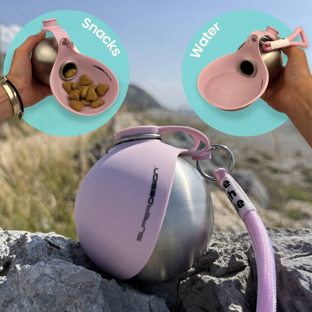 Stainless Steel Dog Water Bottle