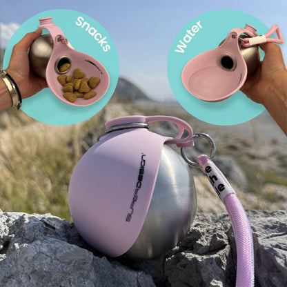 Stainless Steel Dog Water Bottle