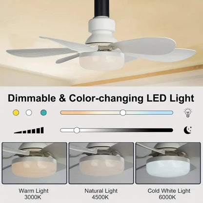 LED Ceiling Fan Light – 20.5” Ultra-Quiet with Remote 🎯 | E27 + FREE