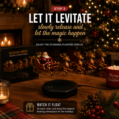 Santa’s Flying Sleigh