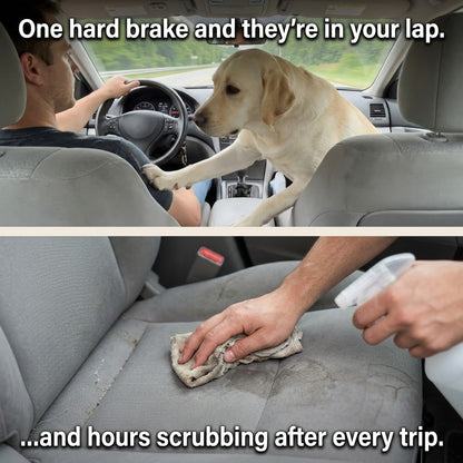 Dog Car Seat Extender