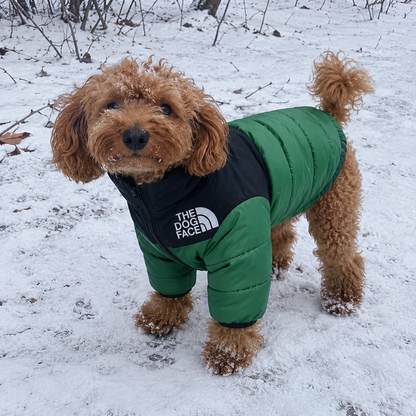 QUILTED ZIP DOG PUFFER JACKET