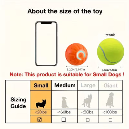 Electic Bouncing Toy