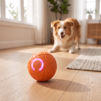 Electic Bouncing Toy