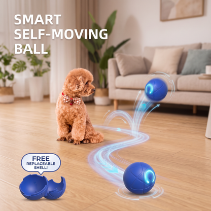 Electic Bouncing Toy